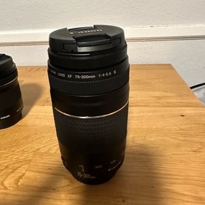 Canon EF 75-300 mm lens